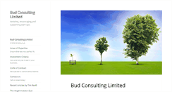 Desktop Screenshot of budconsulting.com