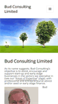 Mobile Screenshot of budconsulting.com